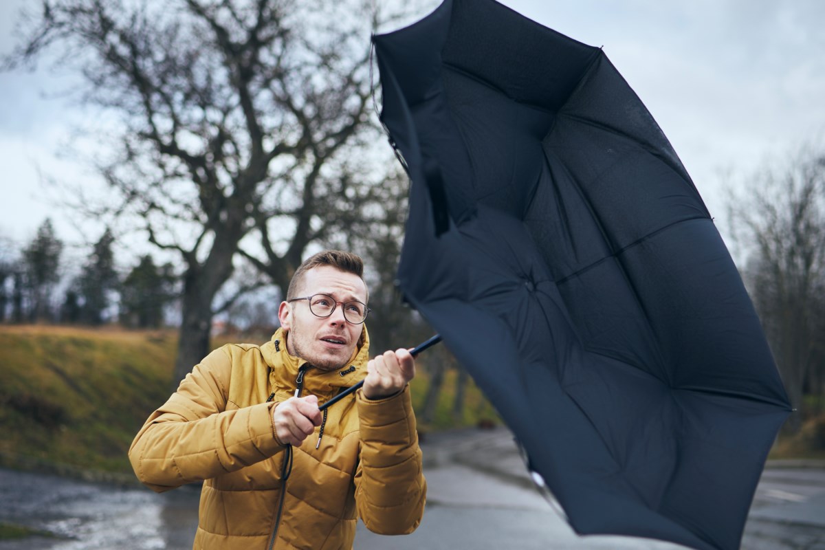 ‘Possible power outages’ as gusty winds expected in Metro Vancouver 3