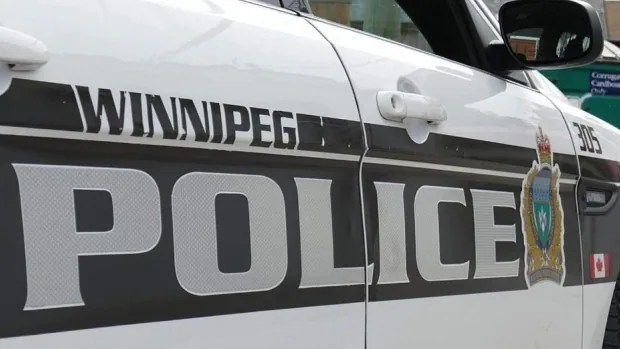 Winnipegger arrested later guy exited retail outlets with snowblowers, chimneys and ice augers 1