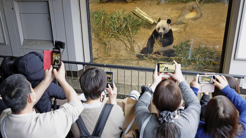 Japanese bid farewell to beloved panda back in China 3