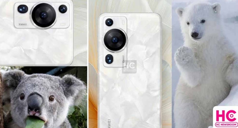 Huawei P60 Camera Design Goes Viral 1