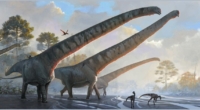 Mamenchisaurus sinocanadorum: The Long-Necked Dinosaur 3