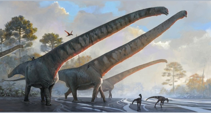 Mamenchisaurus sinocanadorum: The Long-Necked Dinosaur 1