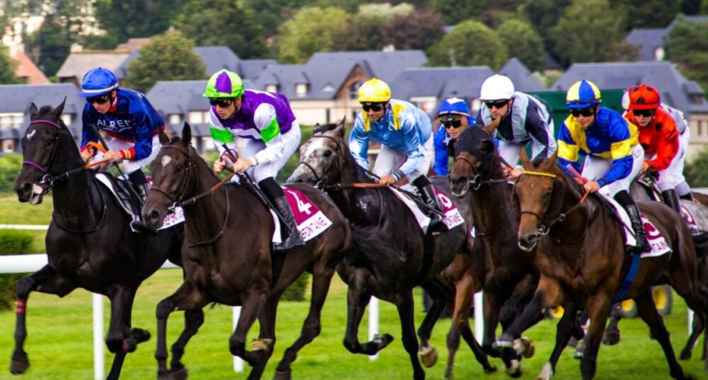 Big Data Analytics Transforms Horse Racing 1