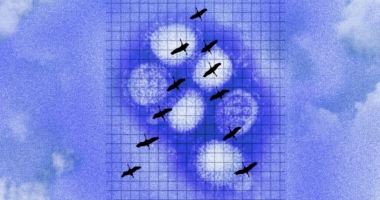 Bird Flu Surge: Spring Migration