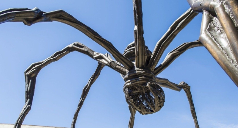 Giant Trapdoor Spider: Endangered Species