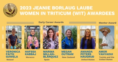 2023 Women in Triticum Awards: Celebrating Excellence in Wheat Science
