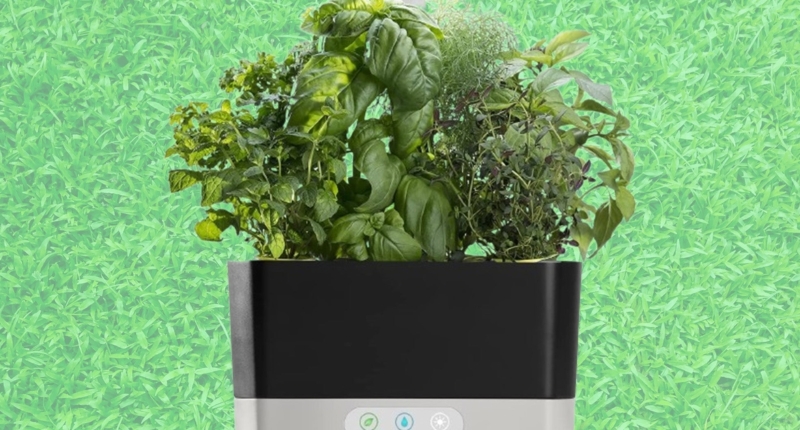 The Ultimate Guide to Hydroponic Gardening