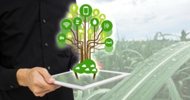 AI and Data Tech in Agriculture