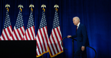 TikTok Sale or Ban? Biden Weighs Options