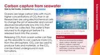 Revolutionary Seawater System for Carbon Capture
