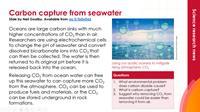 Revolutionary Seawater System for Carbon Capture