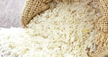 Mutant Rice Variety: Mars' New Food Source