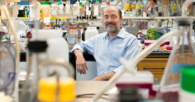 Revolutionary Neurobiologist Awarded for Groundbreaking Brain Plasticity Discoveries