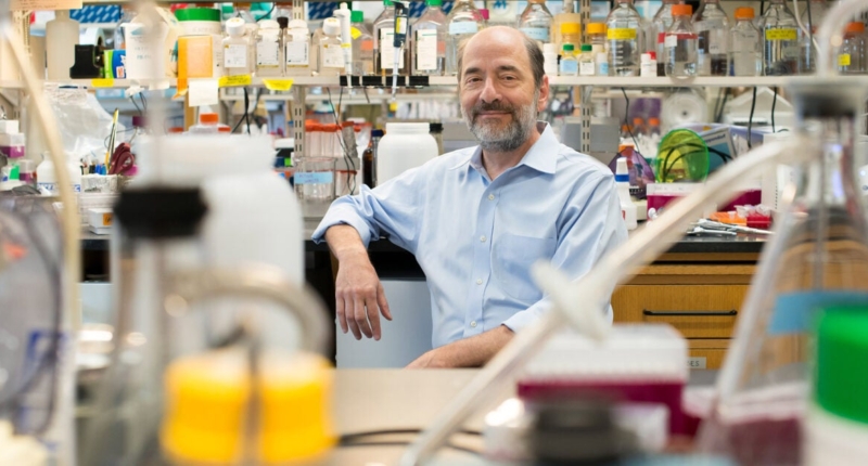 Revolutionary Neurobiologist Awarded for Groundbreaking Brain Plasticity Discoveries