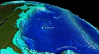 Global Concern: Bottom Marine Heat Waves