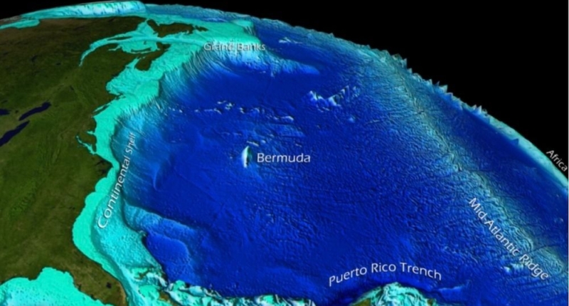 Global Concern: Bottom Marine Heat Waves