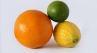 Revolutionizing Citrus Disease Control: China-Pakistan Collaboration