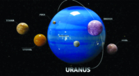 Active Oceans on Uranus' Moons