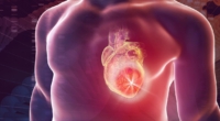 Understanding Genetic Variants in Heart Disease