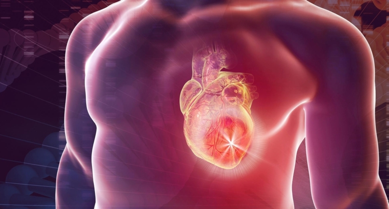 Understanding Genetic Variants in Heart Disease