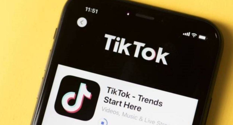 Japan Lawmakers Propose TikTok Ban