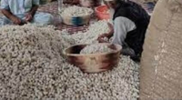 Transforming Sericulture in J&K