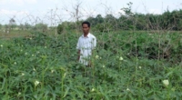 Natural Farming: Assam's Sustainable Agriculture Drive