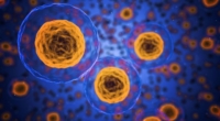 New study identifies GVHD-causing cells