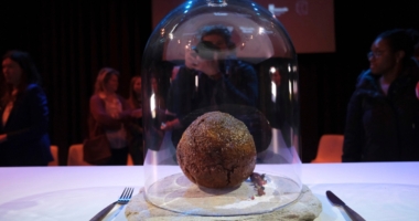 Mammoth Meatball: Sustainable Future Food?