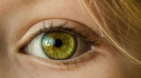 Retinal Scans: Tracking Human Aging