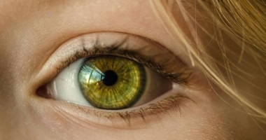 Retinal Scans: Tracking Human Aging
