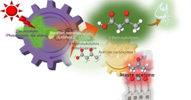 Artificial Photosynthesis Creates Biodegradable Plastic from Waste