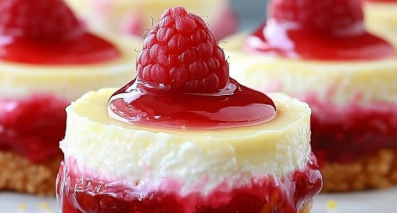 Mini Lemon Raspberry Cheesecakes Recipe 1