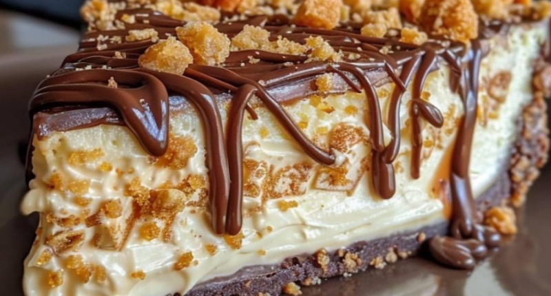 Chocolate Coconut Cheesecake Recipe 1