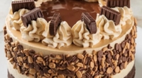 Reese’s Peanut Butter Chocolate Cake Cheesecake – Triple-Layered Bliss! 3