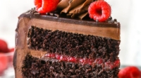 Raspberry Cocoa Chocolate Cake Recipe: Easy and Delicious 3