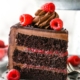 Raspberry Cocoa Chocolate Cake Recipe: Easy and Delicious 5