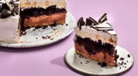 Ice Cream Cake: The Ultimate Frozen Dessert 3