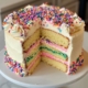 Funfetti Cake Recipe 12