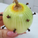 Grandma’s Secret Trick: How Onions and Cloves Naturally Repel Insects 7