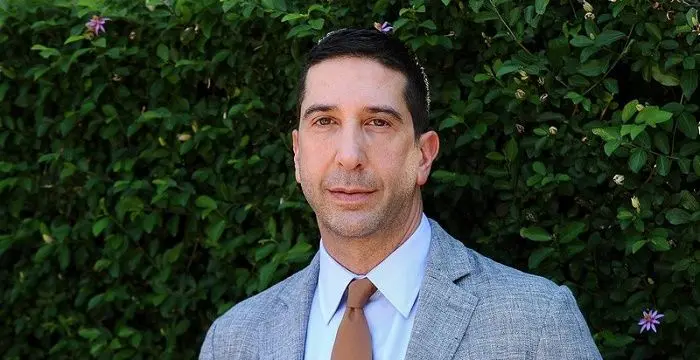 David Schwimmer