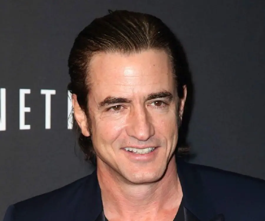 Dermot Mulroney